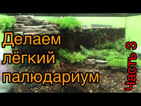 Видео: Делаем лёгкий палюдариум. Часть 3