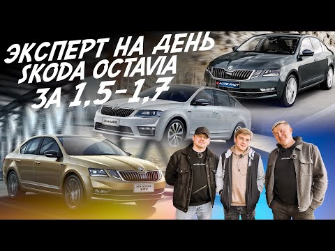 Видео: ЭКСПЕРТ НА ДЕНЬ! Skoda Octavia A7! Бюджет 1.5-1.7 млн.руб! Автоподбор Autofact!