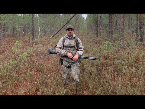 Видео: Охота на кабана. Секач. Ходовая охота в сложных условиях. Boar hunting in difficult conditions.