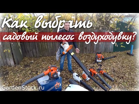 Видео: Как выбрать садовый пылесос воздуходувку??? Что за зверь? Воздуходув? Шишки, иголки, листва в саду?