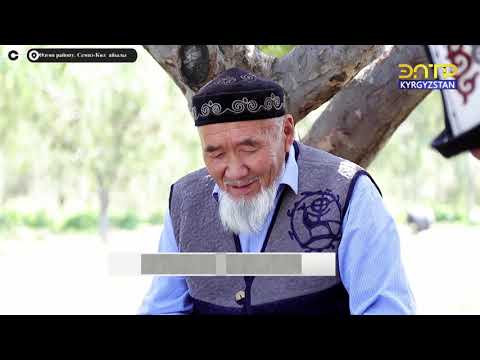 Видео: Көз жоосун алган СЕМИЗ КӨЛ айылы