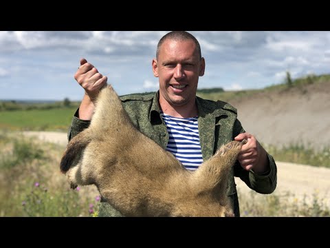 Видео: «Хоть кирпичами кидай» Охота в Саратовской области