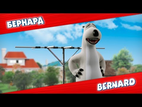 Видео: БЕРНАРД: Теле антенна и многое другое | Подборка серий