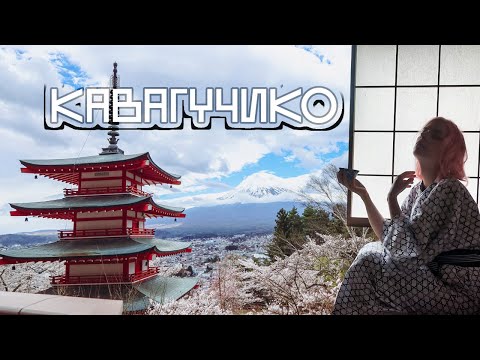Видео: КАК ДОБРАТЬСЯ ДО КАВАГУЧИКО? Автобусы в Японии