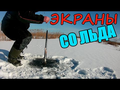 Видео: ВО ПОПЁРЛО!!! Зимняя рыбалка на экраны. Ловим со льда.