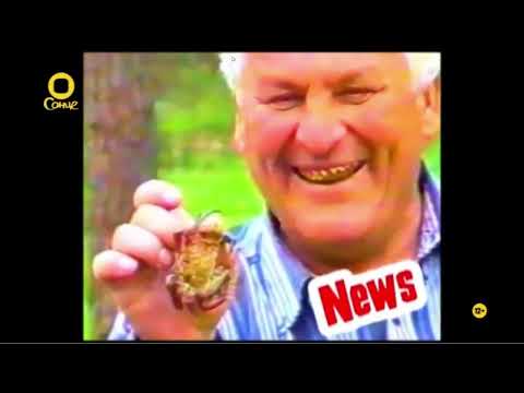 Видео: 3Х4 Найкумедніше домашнє відео 18