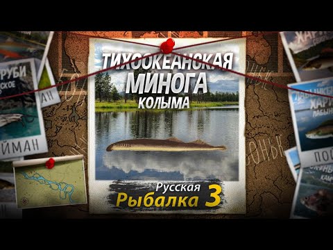 Видео: "Мутант" Тихоокеанская Минога. Колыма. Русская Рыбалка 3.