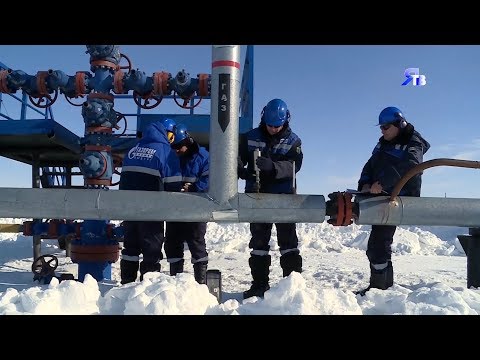 Видео: Один день с геологами