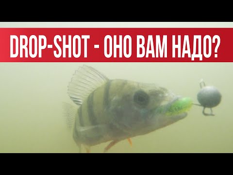 Видео: DROP-SHOT- Подробный обзор. Подводные съемки. Практика на водоёме | Рыбалка с Fishingsib