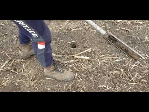 Видео: Поле 18/1 отбор проб для определения влогообезпечености