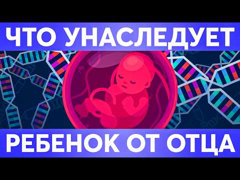 Видео: ЧТО ПЕРЕДАЕТСЯ ОТ ПАПЫ И МАМЫ ДЕТЯМ | Какие гены передаются детям от папы, а какие от мамы?