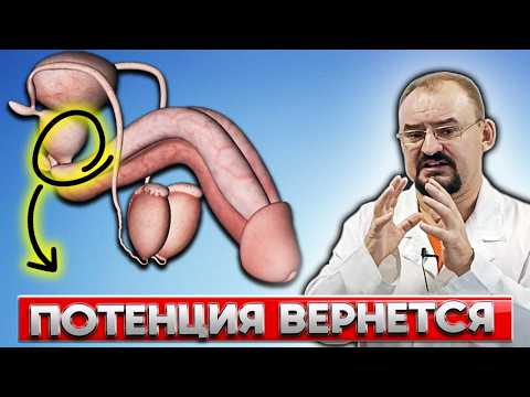 Видео: Мужская сила: как вернуть и сохранить потенцию на долгие годы?