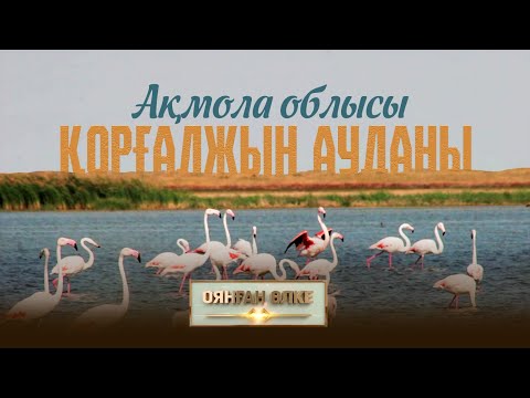Видео: Ақмола облысы, Қорғалжын ауданы. «Оянған өлке» саяси ток-шоуы