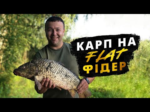 Видео: Трофейний карп на флет фідер. с.Леськи. Ранкова рибалка на карпа.