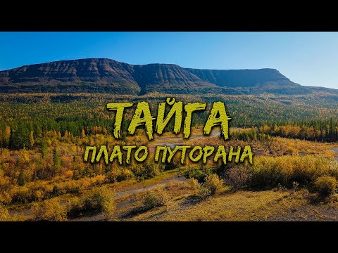 Видео: РЫБАЛКА НА СЕВЕРЕ.  ОГРОМНЫЕ ЩУКИ С КАЖДОГО ЗАБРОСА.  ПУТЕШЕСТВИЕ НА  ПЛАТО ПУТОРАНА. ТАЙГА И ТУНДРА