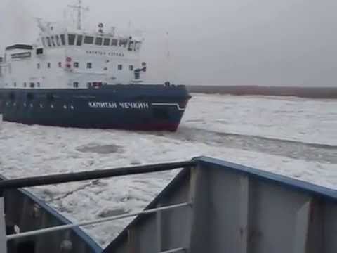 Видео: Из ледяного плена