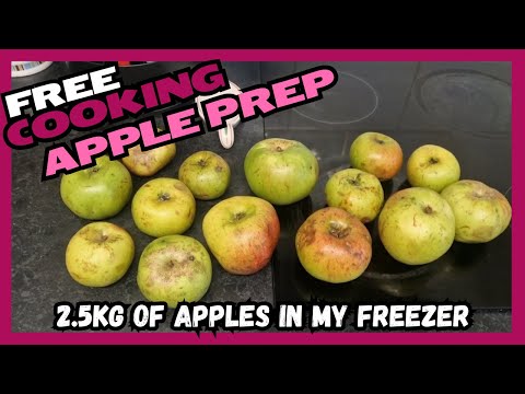 Видео: Я никогда не говорю «нет» бесплатной еде | Заготавливаем яблоки #бережливаяжизнь #бюджетно