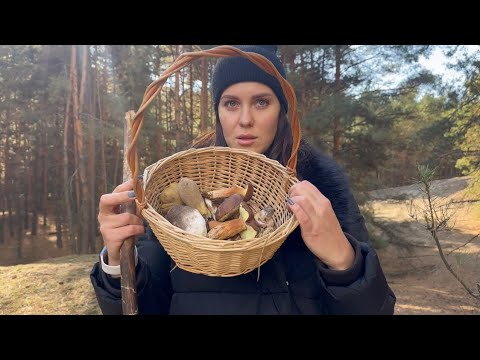 Видео: ЭТОТ ПОХОД ЗА ГРИБАМИ МЫ НЕ ЗАБУДЕМ 