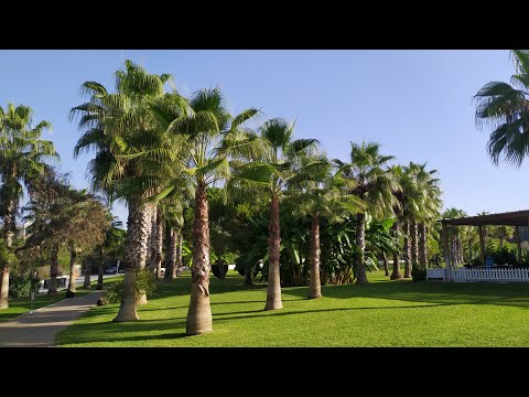 Видео: Турция. Октябрь 2023. Отель Club Side Coast 5* (Клаб Сидэ Коаст)