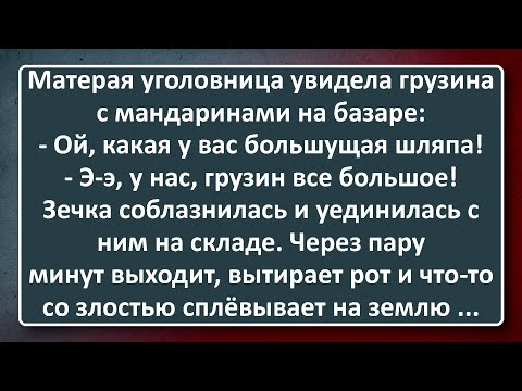 Видео: Сладкое Тело! Подборка Лучших Анекдотов Синего Предела