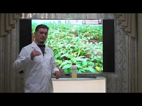 Видео: Microvital-L. Химический состав поливной воды, ее качество и возможность применения для полива.