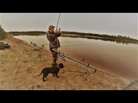 Видео: Рыбалка на реке Тура. Подлещик подъязок . Тюмень. Выезд-4.