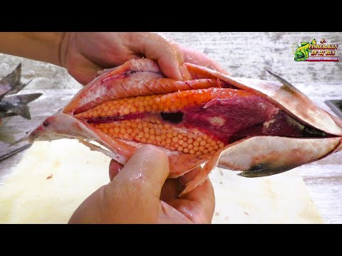 Видео: Как купить в магазине горбушу с красной икрой, купил самок сколько захотел 100% результат,