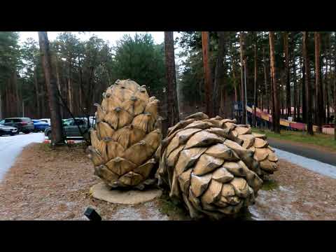 Видео: База отдыха Дружба Красноярский край 6 ноября 2022г