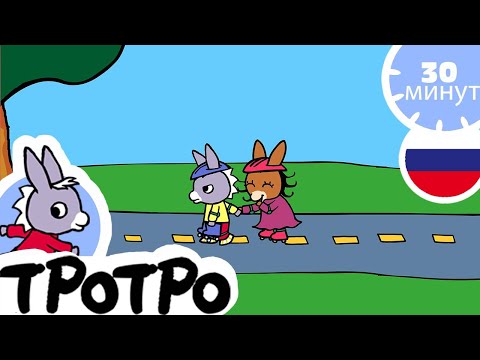 Видео: 🤵 Тротро - маленький джентльмен! 🤵