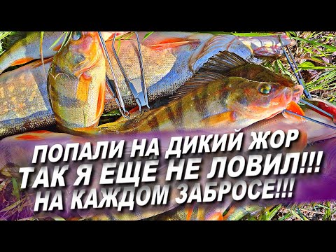 Видео: КЛЮЕТ НА КАЖДОМ ЗАБРОСЕ! ПОПАЛИ НА НАСТОЯЩИЙ ЖОР В СЕНТЯБРЕ/РЫБАЛКА В ЗАПОВЕДНЫХ МЕСТАХ/РЫБАЛКА 2025