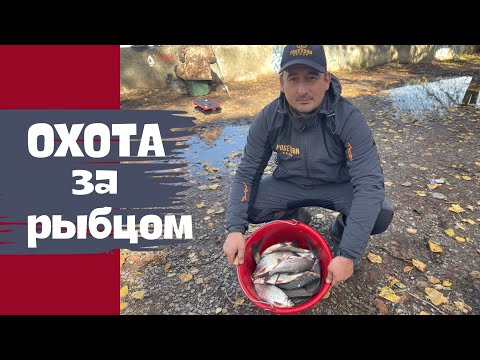 Видео: ЛОВЛЯ ФИДЕРОМ ОСЕННЕГО РЫБЦА. ОТЛИЧНЫЙ УЛОВ В НЕБЛАГОПРИТНЫХ УСЛОВИЯХ.