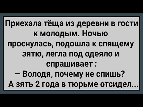 Видео: Как Теща к Зятю Под Одеяло Залезла! Сборник Свежих Анекдотов! Юмор!