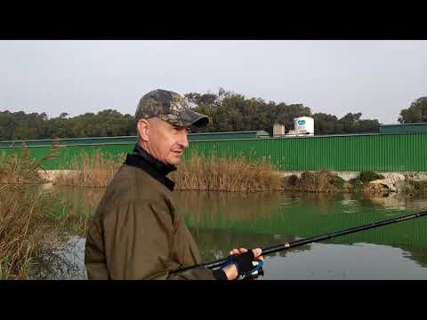 Видео: Река Сегура. #Рыбалка в Guardamar del Segura. #Испания сейчас.