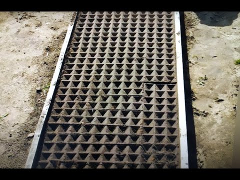 Видео: Красиво высаживаем на грядку редис.