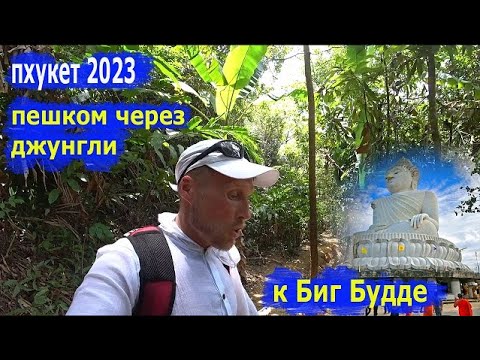 Видео: Пхукет2023. Самостоятельно пешком через джунгли к храму Биг Будда (Big Budda). Для путешественников.