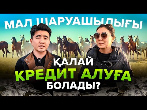 Видео: 16 000 000 тг кредит алған фермер. Мал шаруашылығы