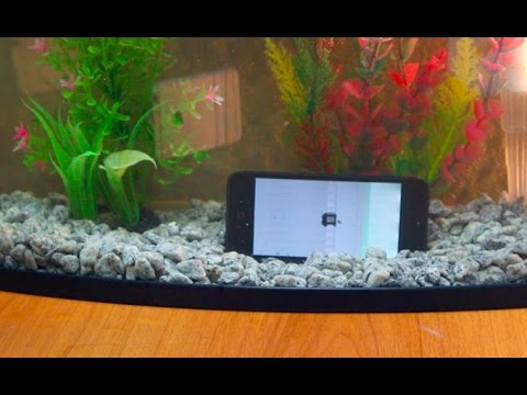 Видео: Iphone 5s после воды  4 часа ремонта