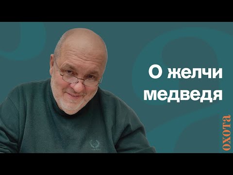 Видео: О желчи медведя. Валерий Кузенков о том, как готовить и применять желчь медведя.