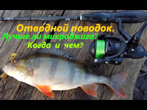 Видео: Отводной поводок. Лучше ли микроджига? Когда и чем?