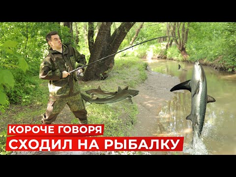 Видео: КОРОЧЕ ГОВОРЯ, Я СХОДИЛ НА РЫБАЛКУ