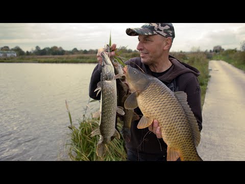 Видео: "Хитрі"щуки і трофейний короп ! 17.10.25р.