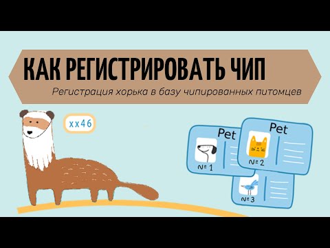 Видео: Как внести чип хорька в базу чипированных питомцев