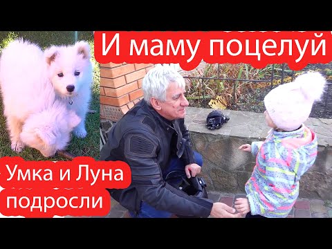 Видео: VLOG Слишком тяжело и высоко