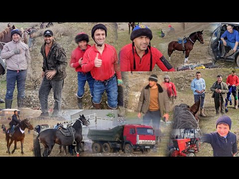 Видео: Бузкашии д Бахор 30 11 2024 кисми 1.UMED VIDEO