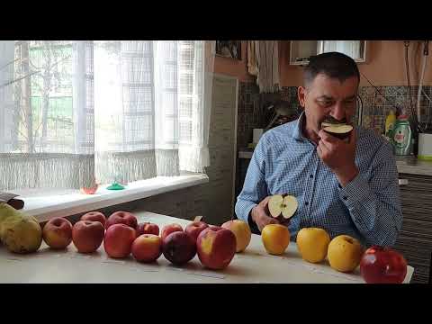 Видео: 15 апреля 2025г. Обзор зимних сортов яблок