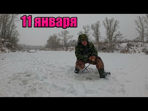 Видео: Зимняя Рыбалка 11 января на речке