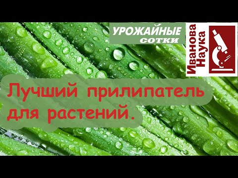 Видео: Как усилить действие любого препарата? Лучший прилипатель для всех препаратов!