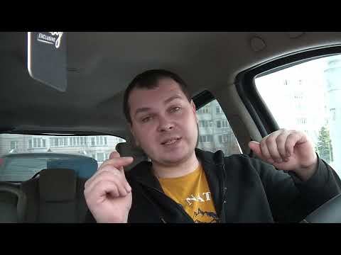 Видео: Дикие пешики. (Социалка)