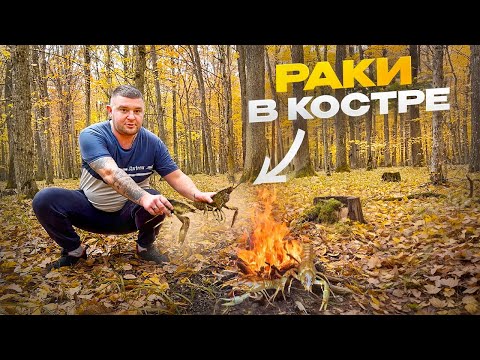Видео: ЖАРИМ РАКОВ! В ЛЕС ПО ГРИБЫ! СУП ИЗ РАКОВ! 🦞 