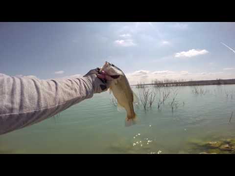 Видео: Ловля басса на водохранилище 09.09.2015.
